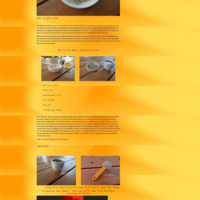 WordPress Management