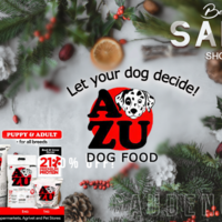 Portfolio Thumbnail 0