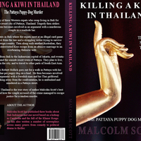 Dust cover design, book blurb