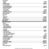 Balance Sheet printed of a Company