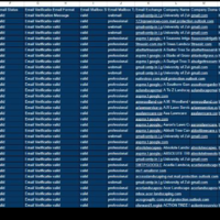 I generated high converting leads for an e comerce brand 