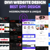 Divi Theme