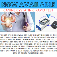 Veterinary Clinic  Service Ad