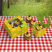 LIME SQUARE PACKAGING