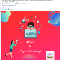 Portfolio Thumbnail 0