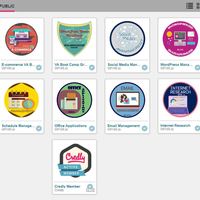 Credly Badges