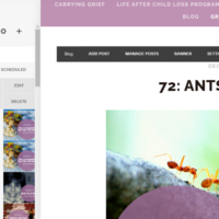 Portfolio Thumbnail 17