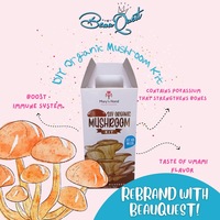 Portfolio Thumbnail 2