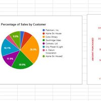 Office Application Report