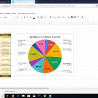 Pie Graph report