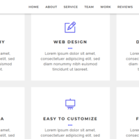 Web Development