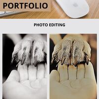 Portfolio Thumbnail 3