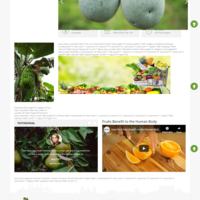 Portfolio Thumbnail 5