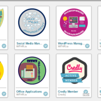 Credley Learning Badges