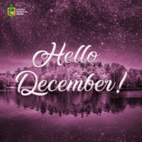 Portfolio Thumbnail 6