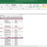 Expense Report