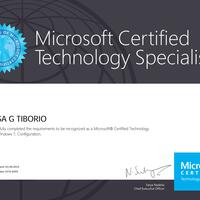 Microsoft Certified Technology Specialist