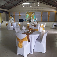 Execution of a fundraising banquet planned by me.