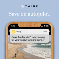 Twine Push Notification Ad 1