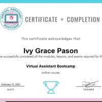 VIRTUAL ASSISNT CERTIFICATE