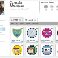 Virtual Assistant badges completion