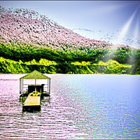 Portfolio Thumbnail 7