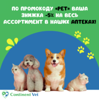 Portfolio Thumbnail 6