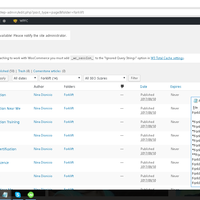 Putting content in WordPress