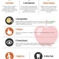 10 Amazing Benefits of Apples (trimnhealthy.com.au)