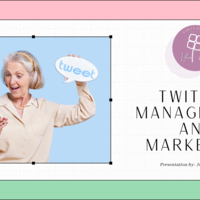 Twitter Management and Marketing