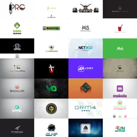 IDBurlacu Logo Design portfolio