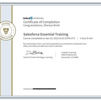 Salesforce essentials training
