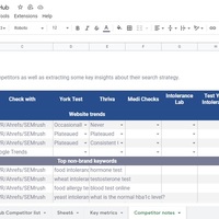 SEO Competitor Analysis -Competitor notes