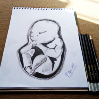 Baby inside Womb