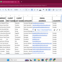 Lead Generation Work Sample
