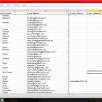 Excel Cleansing