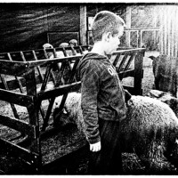 Portfolio Thumbnail 20