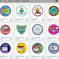 Badges earned for skills learned.