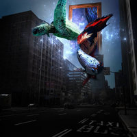 Portfolio Thumbnail 35