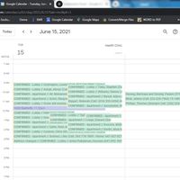 Calendar Management and Appointment Setting