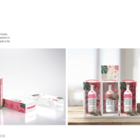 Absolut Vodka Premium Pack design