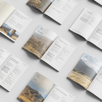 Portfolio Thumbnail 14