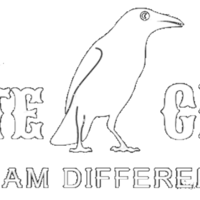 Portfolio Thumbnail 5