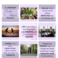 Portfolio Thumbnail 13