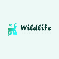 Website Logo