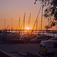 Portfolio Thumbnail 34