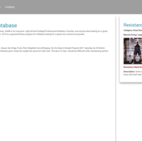 Codeigniter FullStack Developer