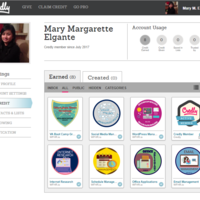 Credy Learning Badges