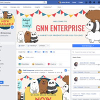 GNN Enterprise Online Business