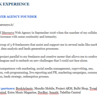 Project Manager